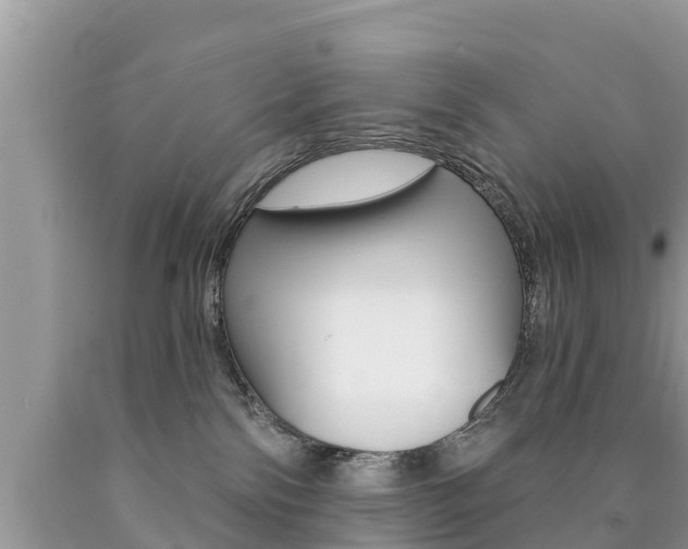 X0000090770138200707201122