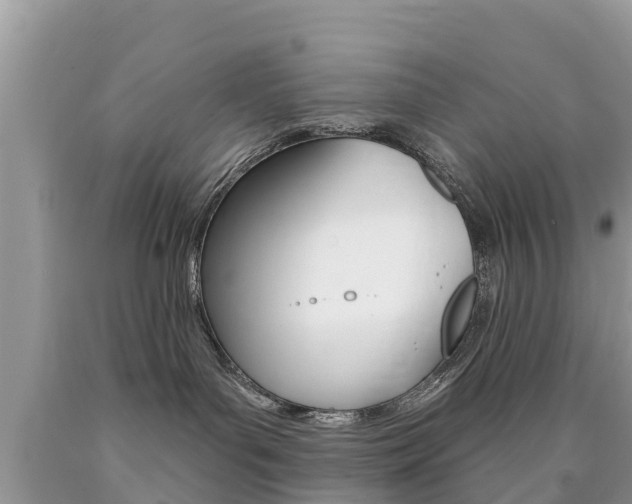 X0000090770143200707201122