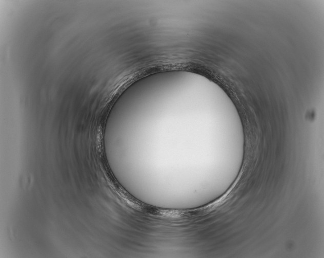 X0000090770144200707201122