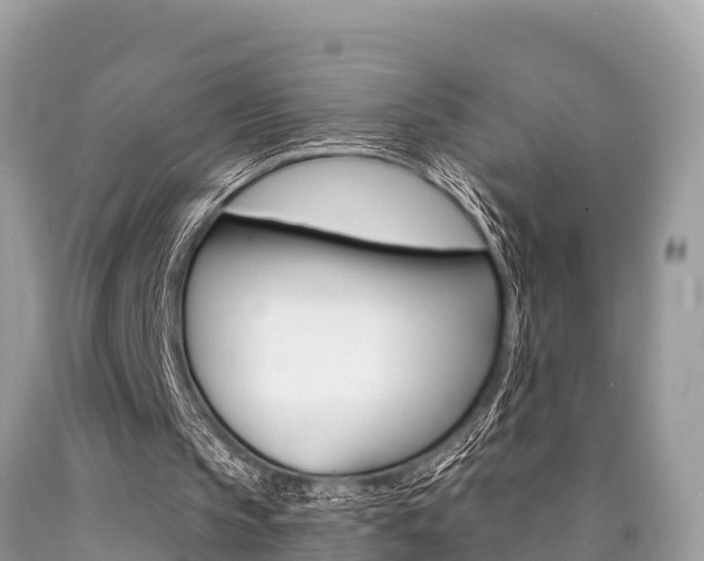 X0000090770145200707201121