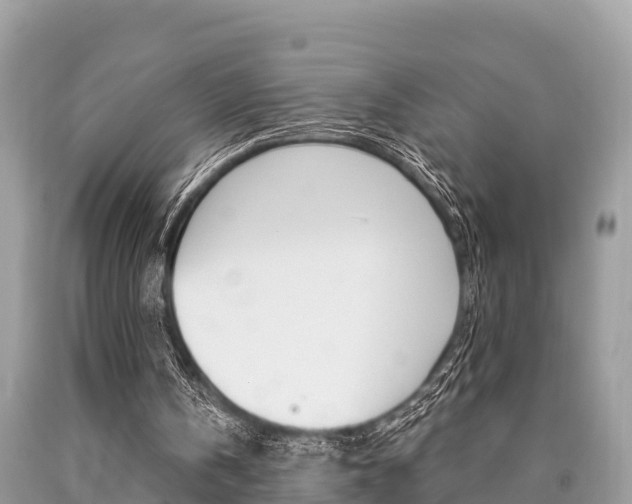X0000090770146200707201121