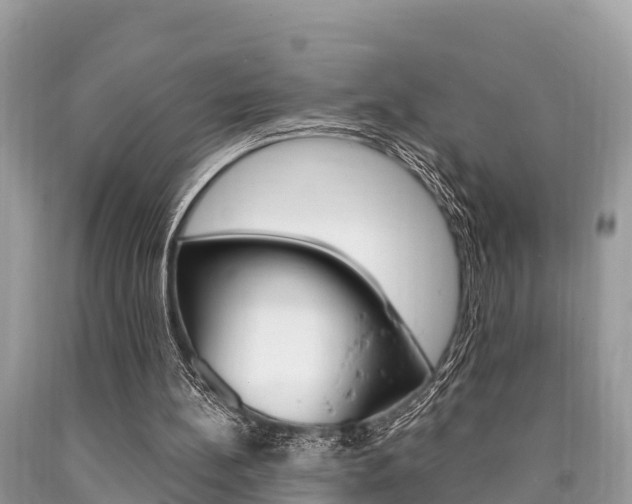 X0000090770148200707201121