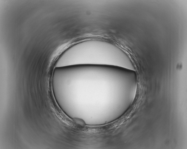 X0000090770149200707201121