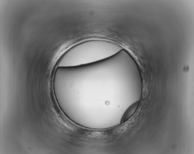 X0000090770151200707201121