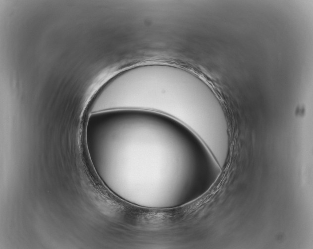 X0000090770152200707201121