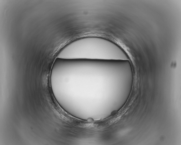 X0000090770153200707201121