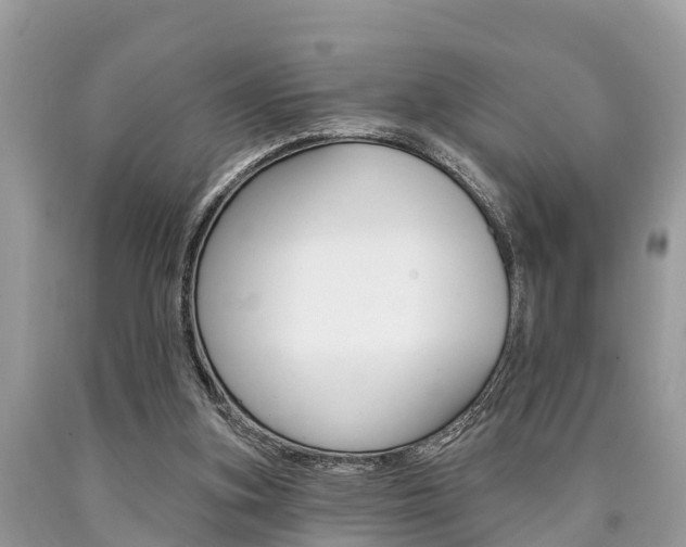 X0000090770155200707201121