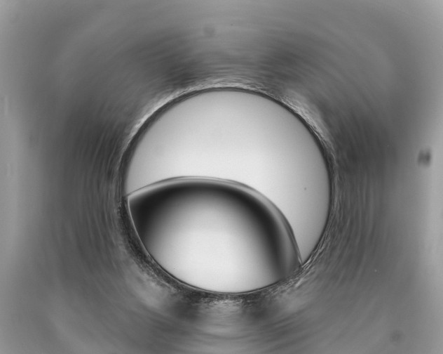 X0000090770156200707201121