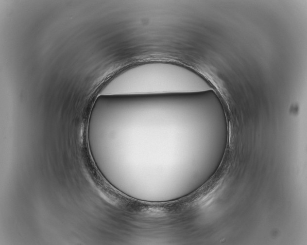 X0000090770157200707201121