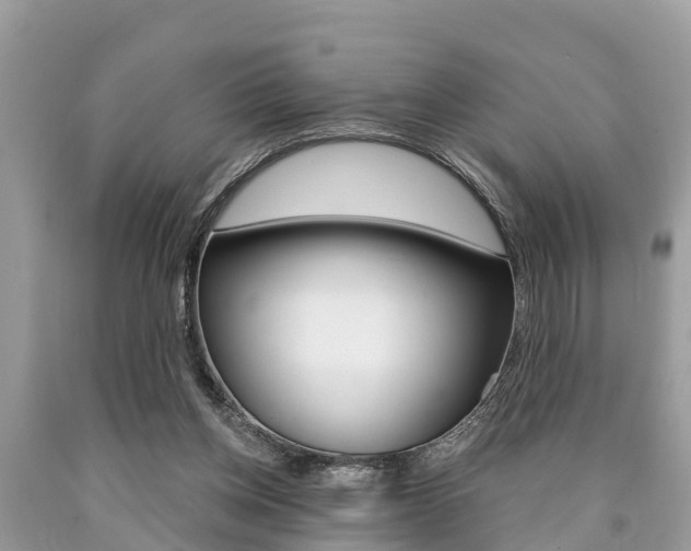 X0000090770158200707201121