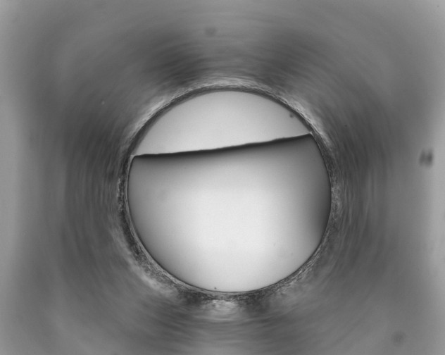 X0000090770159200707201121