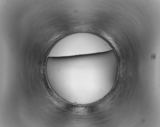 X0000090770161200707201121