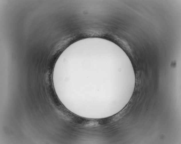 X0000090770162200707201121