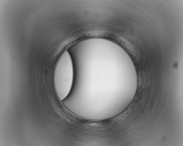 X0000090770163200707201121