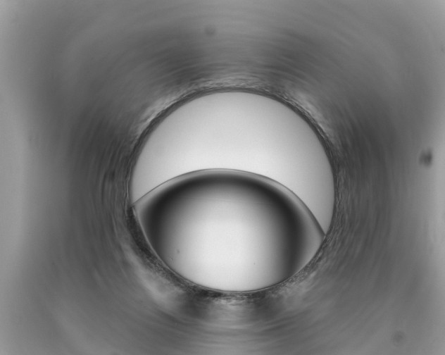 X0000090770164200707201121