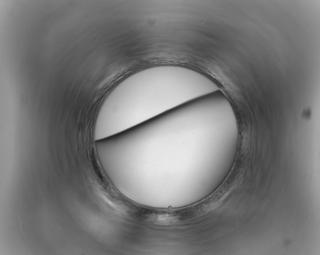 X0000090770165200707201121