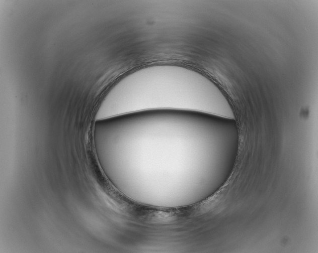 X0000090770166200707201121