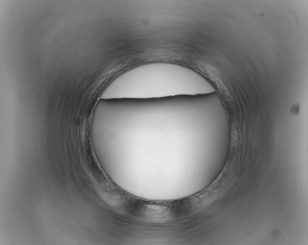 X0000090770167200707201121