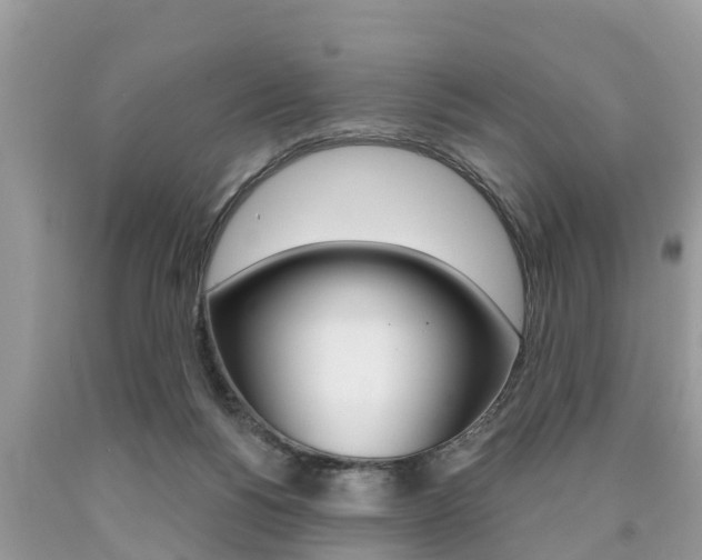 X0000090770168200707201122