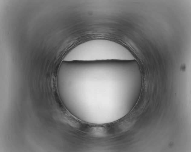 X0000090770169200707201122