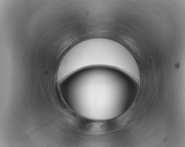 X0000090770172200707201122