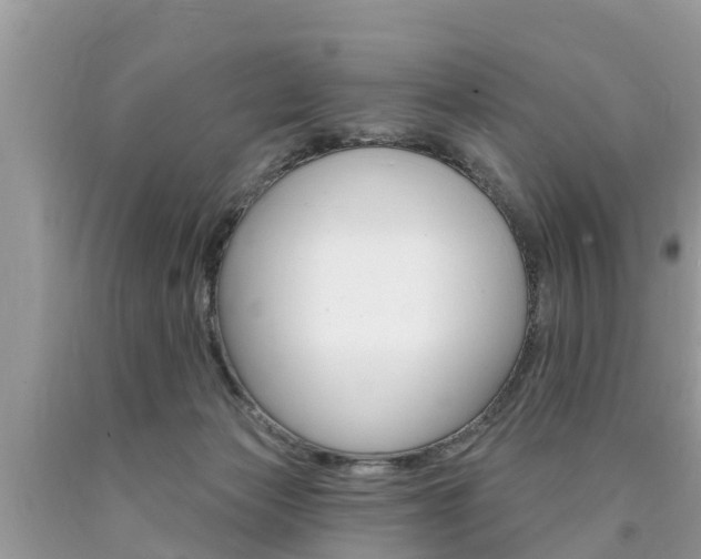 X0000090770173200707201122