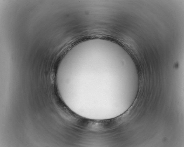 X0000090770174200707201122
