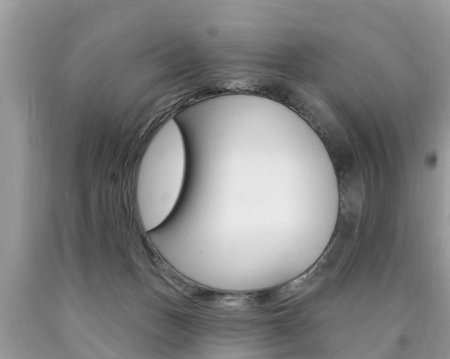 X0000090770175200707201122