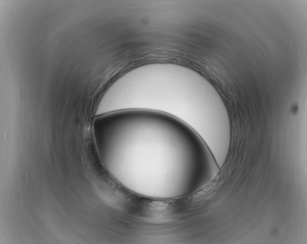 X0000090770176200707201122