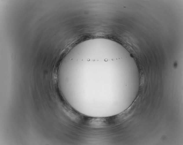 X0000090770179200707201122