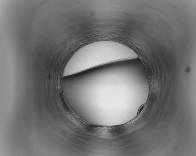 X0000090770182200707201122