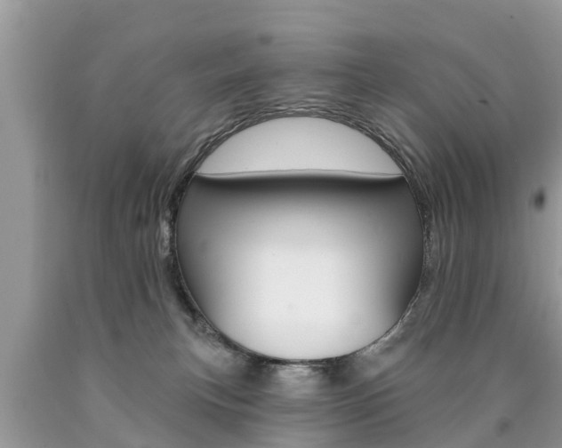 X0000090770183200707201122