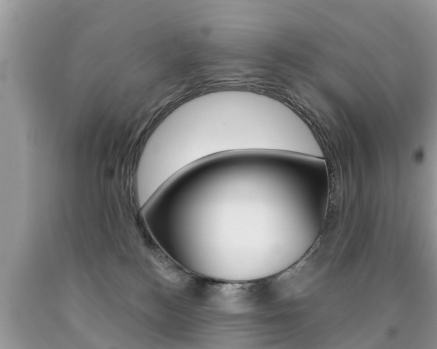X0000090770184200707201122