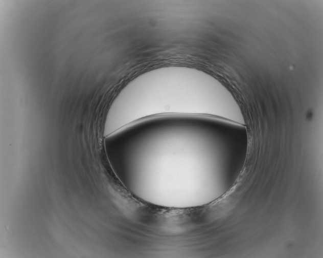X0000090770186200707201122