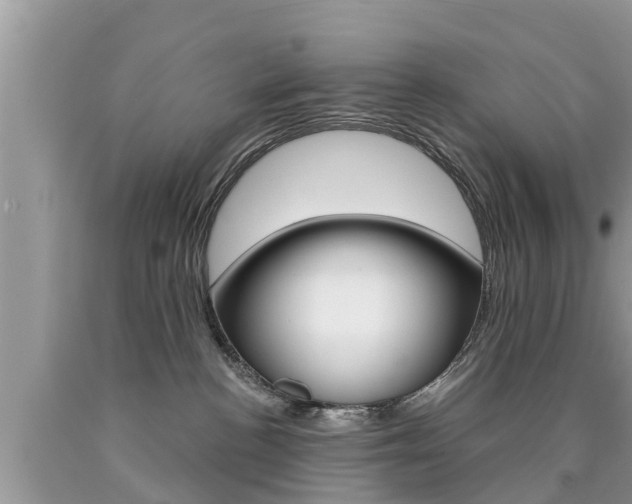 X0000090770188200707201122