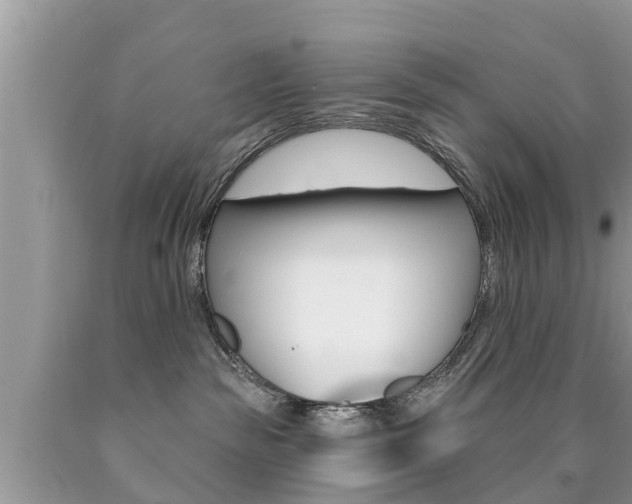 X0000090770189200707201122