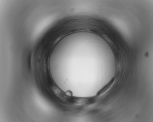 X0000090770191200707201122