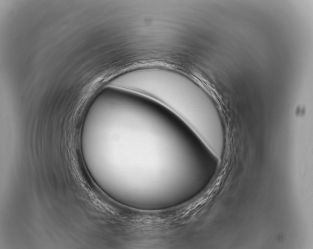 X0000090770193200707201121