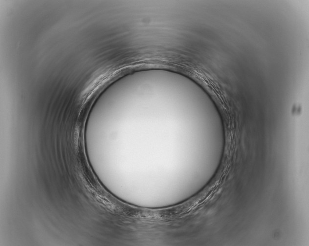 X0000090770194200707201121