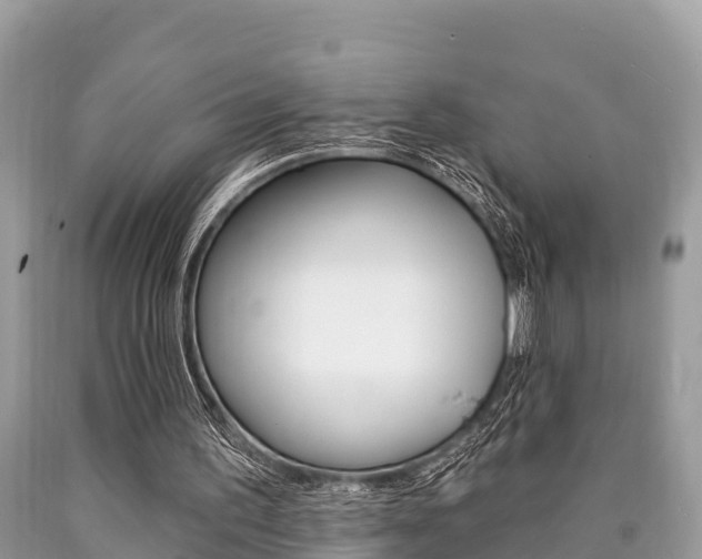 X0000090770195200707201121