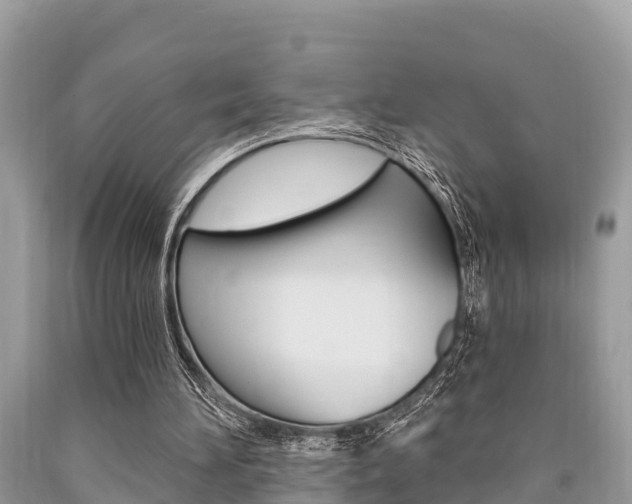 X0000090770196200707201121