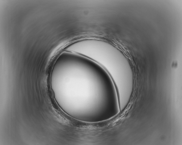 X0000090770197200707201121