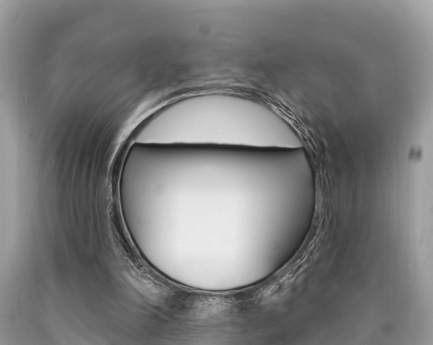 X0000090770198200707201121