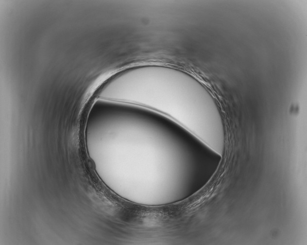 X0000090770200200707201121