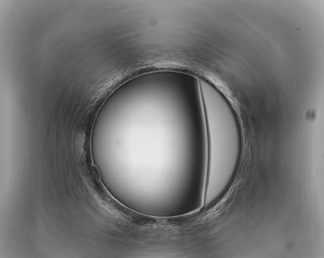 X0000090770201200707201121