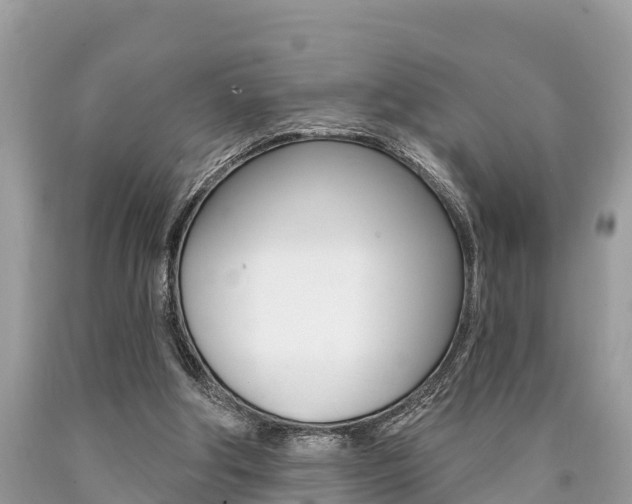 X0000090770202200707201121