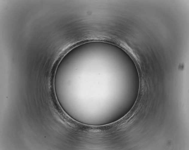 X0000090770203200707201121