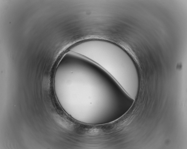 X0000090770204200707201121