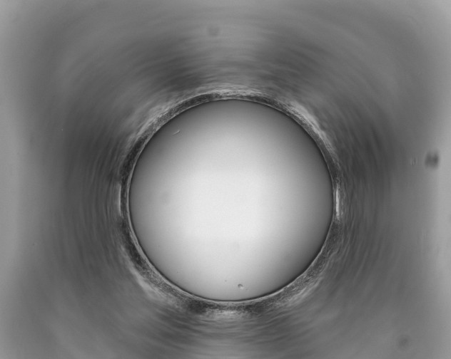 X0000090770205200707201121