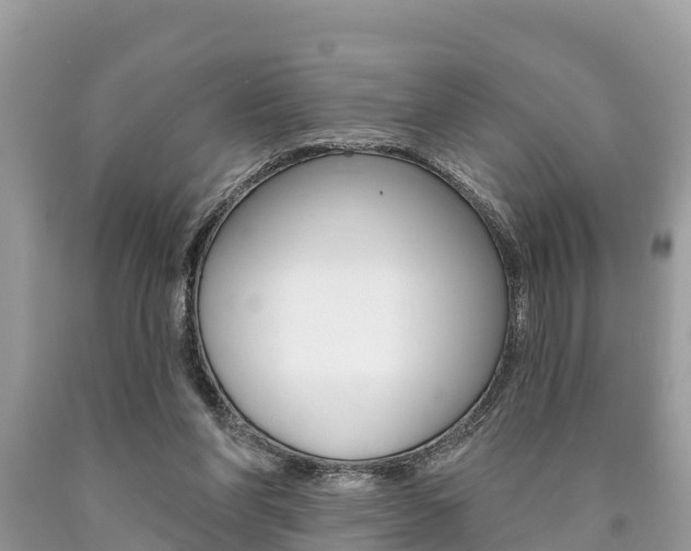 X0000090770206200707201121